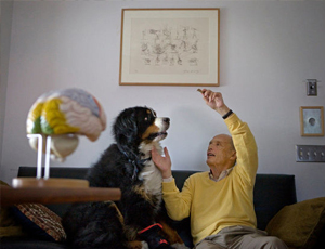 服务器攻击方式