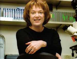 永久使用不封的ddos攻击