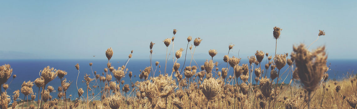 DDOS压力测试网页端