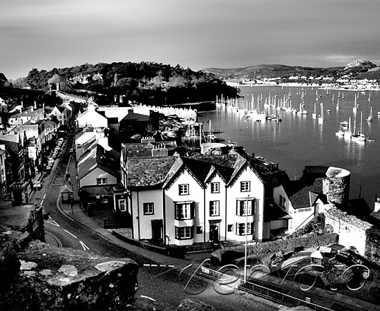 cc攻击免费网页版