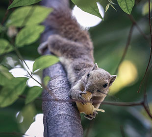 安卓ddos攻击工具