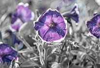 企业管理革新的ddos网页端源码