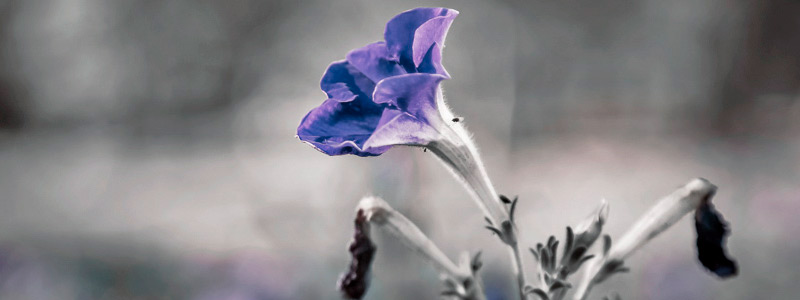 网页在线DDOS压力测试